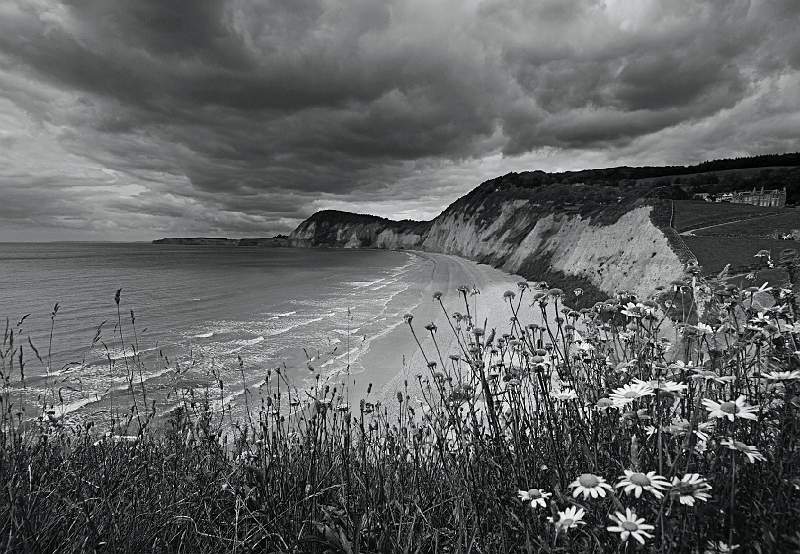 Sidmouth B&W.jpg - Sidmouth